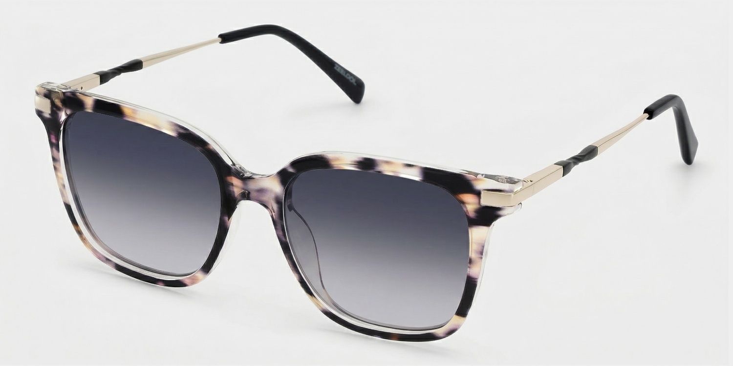 Jacqui Tortoise Square Sunglasses to Frame Your Face | ZEELOOL CA2