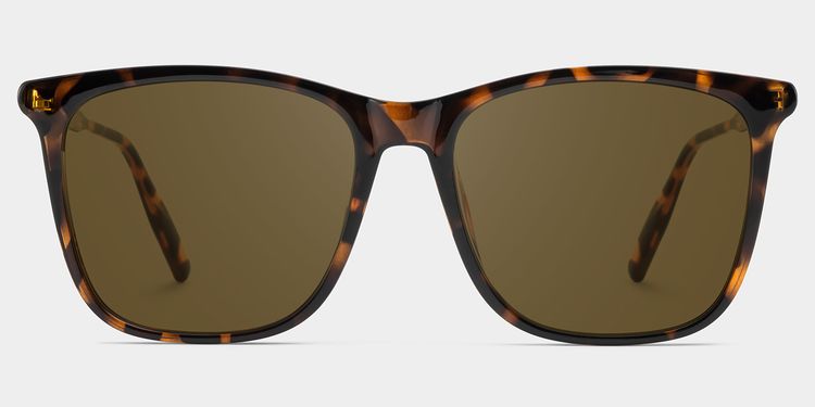 Malika Tortoise Square Sunglasses