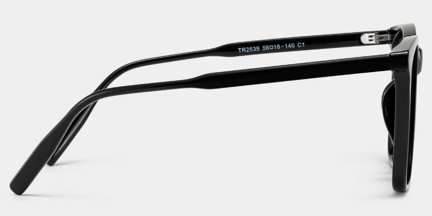 Malika Tr90 Black Frame Sunglasses | ZEELOOL CA4