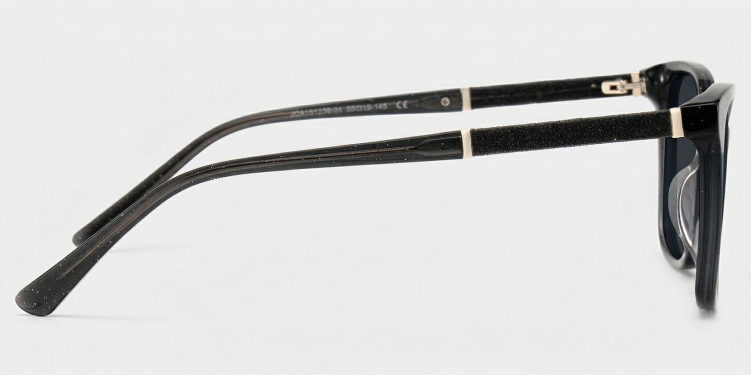Finnian Acetate Black Frame Sunglasses | ZEELOOL CA3