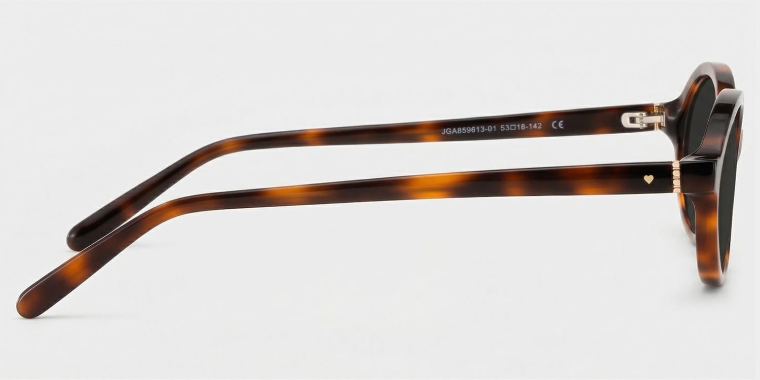 Everly Tortoise Oval Sunglasses to Frame Your Face | ZEELOOL CA3