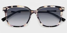 Jacqui Tortoise Square Sunglasses1