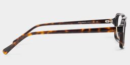 Danielle Tortoise Rectangle Glasses3