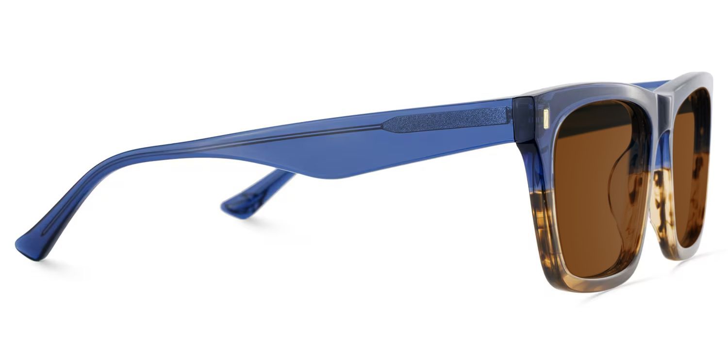 Brookins Rectangle Sunglasses with Acetate Blue Brown Frames | ZEELOOL CA3
