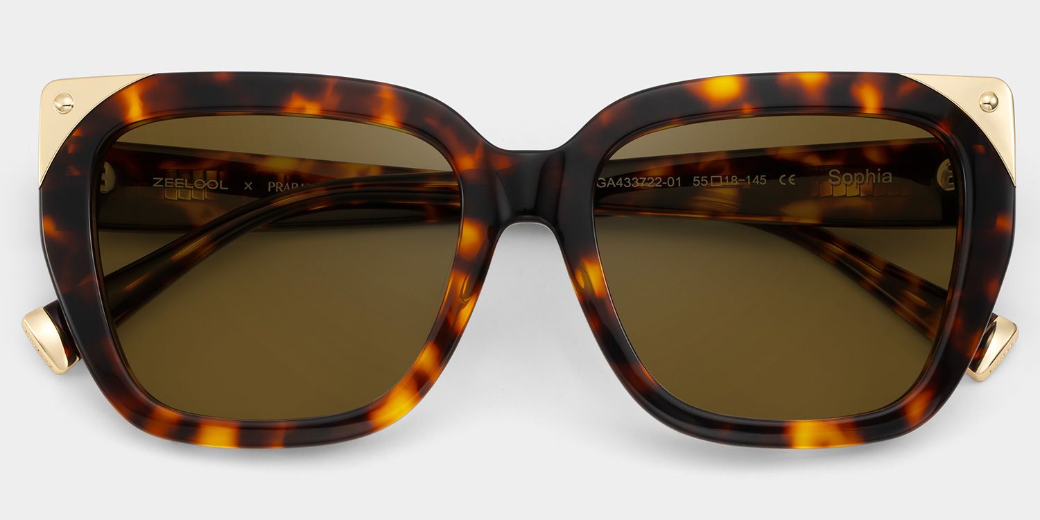 Sophia Cat Eye Sunglasses with Acetate Tortoise Frames | ZEELOOL CA2