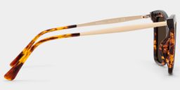 Isaebella Tortoise Butterfly Sunglasses3