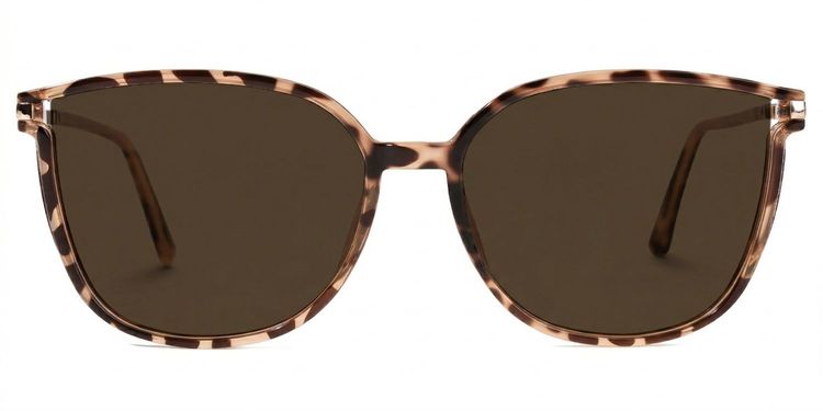 Rodz Tortoise Square Sunglasses