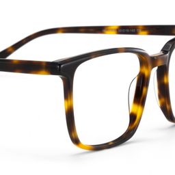 Aidan Tortoise Rectangle Glasses4