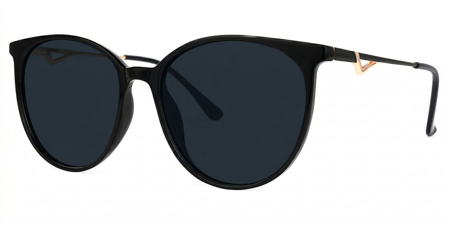 Chanty Black Round Polarized Sunglasses for Driving | ZEELOOL CA1