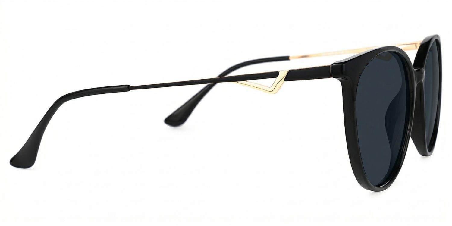 Chanty Black Round Polarized Sunglasses for Driving | ZEELOOL CA2