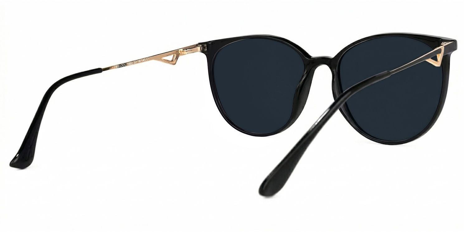 Chanty Black Round Polarized Sunglasses for Driving | ZEELOOL CA3