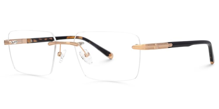 Savitrie Tortoise Rectangle Glasses