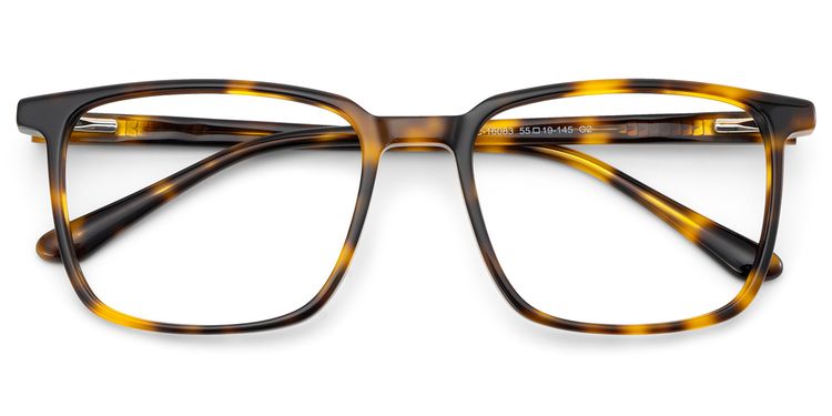 Aidan Tortoise Rectangle Glasses