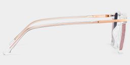 Rodz Clear Square Sunglasses3