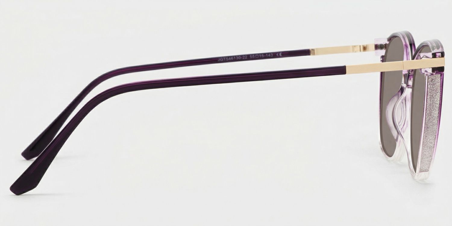 Rodz Tr90 Purple Clear Frame Sunglasses | ZEELOOL CA3