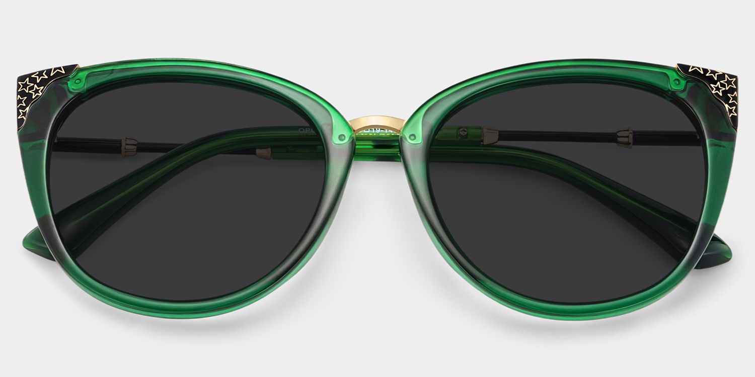 Dalton Frame Sunglasses | ZEELOOL CA1