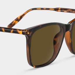 Malika Tortoise Square Sunglasses4