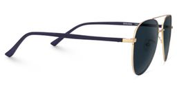 Paige Blue-Gold Aviator Sunglasses3