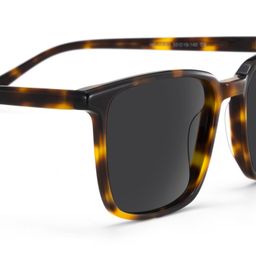 Aidan Tortoise Rectangle Sunglasses4