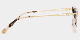 Amelia Tortoise Cat eye Glasses4