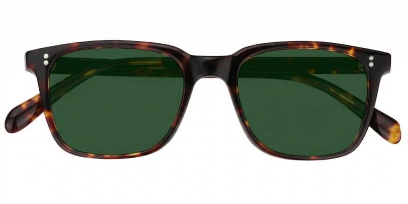 Lamont Tortoise Rectangle Sunglasses to Frame Your Face | ZEELOOL CA1