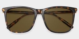 Malika Tortoise Square Sunglasses1