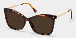 Isaebella Tortoise Butterfly Sunglasses2