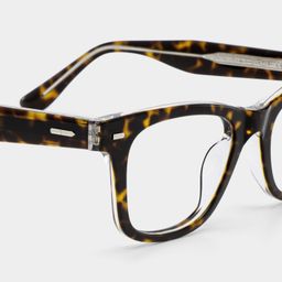 Robert Tortoise Rectangle Glasses5