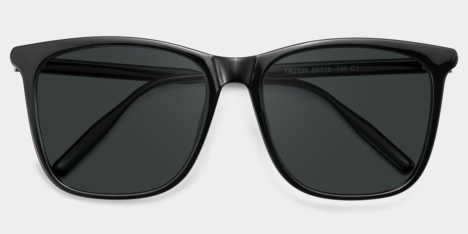 Malika Tr90 Black Frame Sunglasses | ZEELOOL CA2