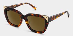 Sophia Tortoise Cat eye Sunglasses3