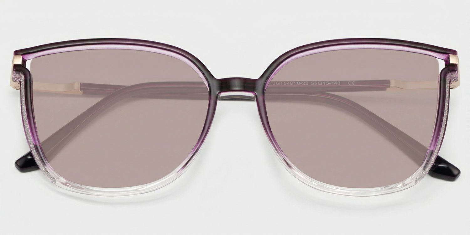Rodz Tr90 Purple Clear Frame Sunglasses | ZEELOOL CA1