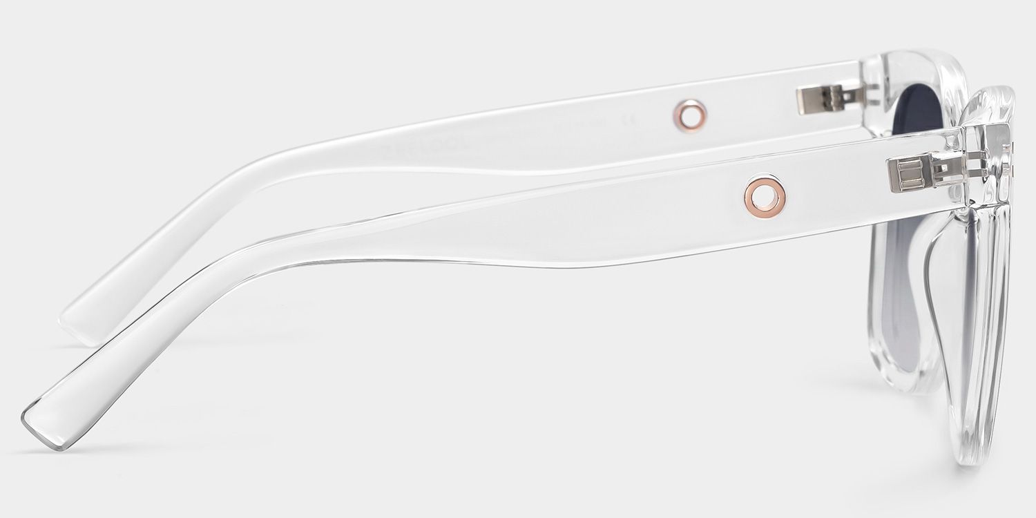Ebony Plastic Clear Frame Sunglasses | ZEELOOL CA3