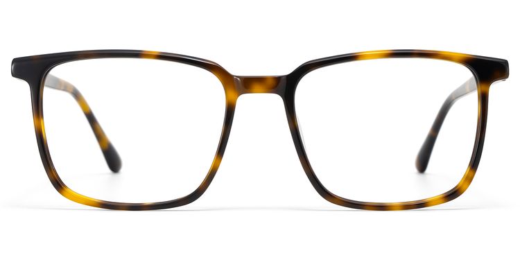 Aidan Tortoise Rectangle Glasses