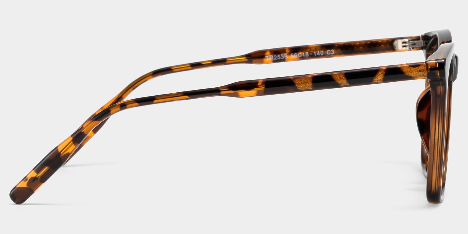 Malika Square Tortoise Sunglasses for Women & Men | ZEELOOL CA3