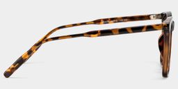 Malika Tortoise Square Sunglasses3