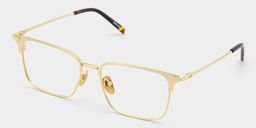 Maxwell Gold Browline Glasses2