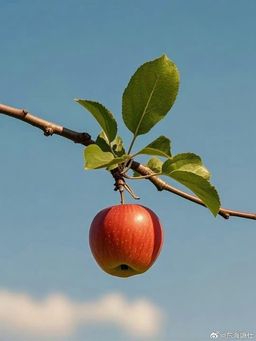 Karla Geometric Green Glasses0