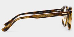 Frances Tortoise Round Glasses4