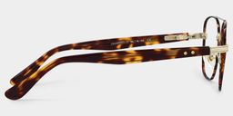Anderson Tortoise Aviator Glasses4