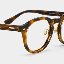 Frances Tortoise Round Glasses5