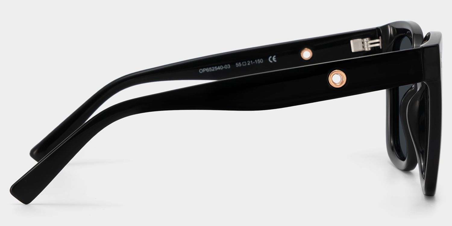 Ebony Frame Sunglasses | ZEELOOL CA3