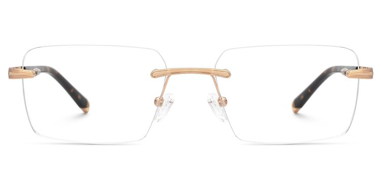 Savitrie Tortoise Rectangle Glasses