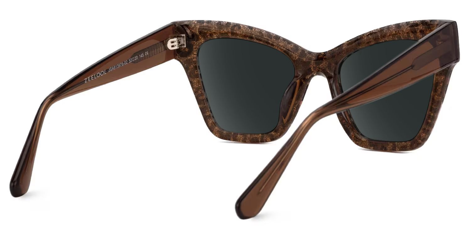 Ansyah Cat Eye Sunglasses with Acetate Leopard Frames | ZEELOOL CA5