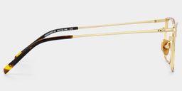 Maxwell Gold Browline Glasses3