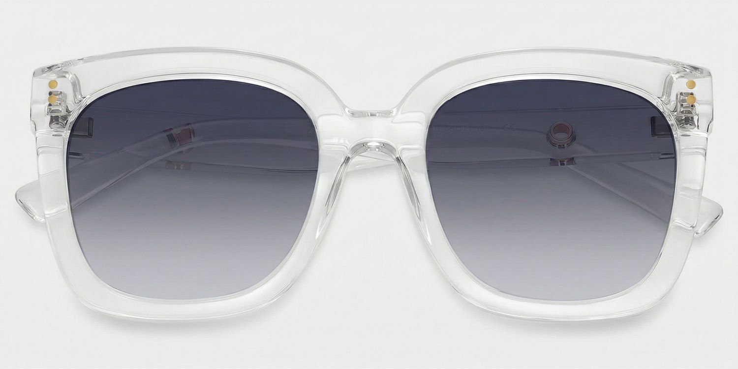 Ebony Plastic Clear Frame Sunglasses | ZEELOOL CA1