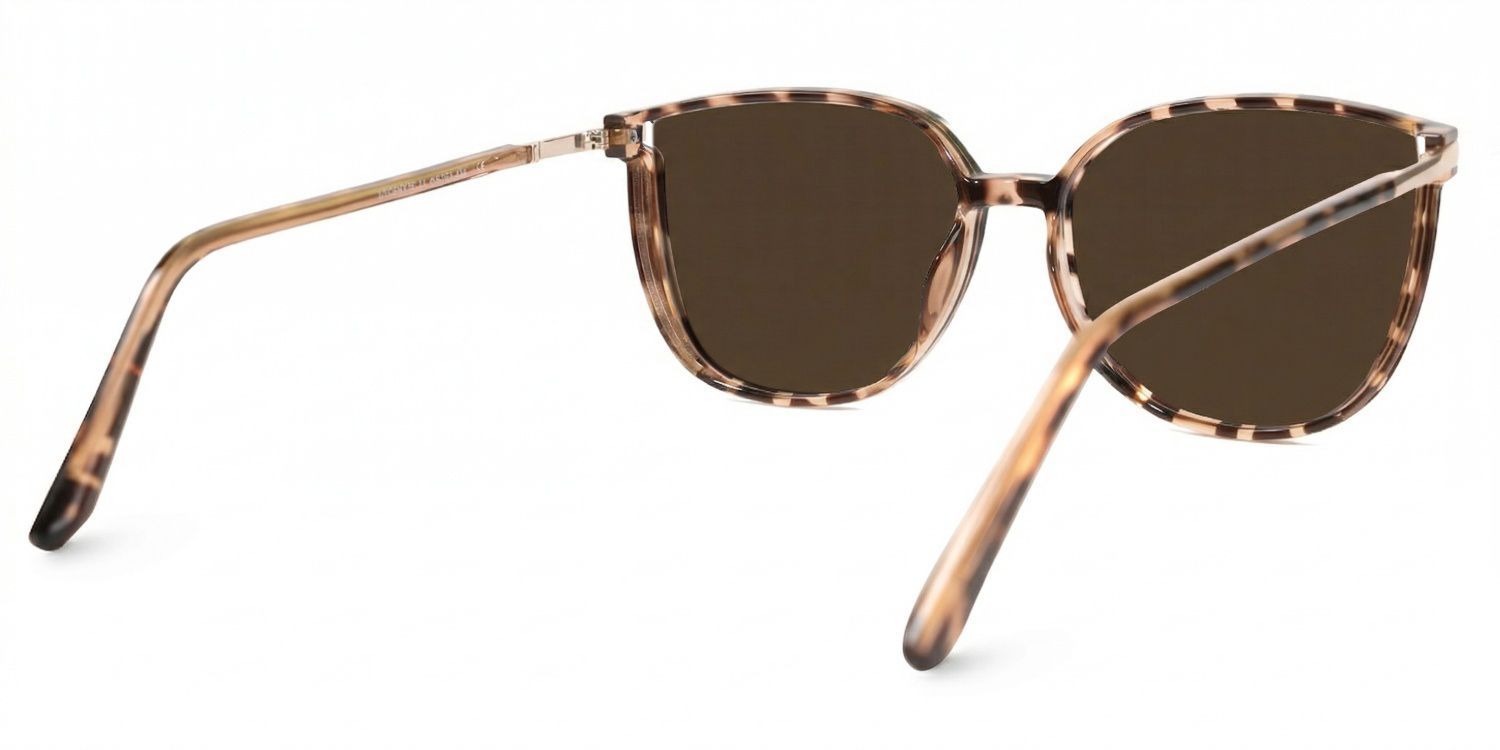 Rodz Tr90 Tortoise Frame Sunglasses | ZEELOOL CA3