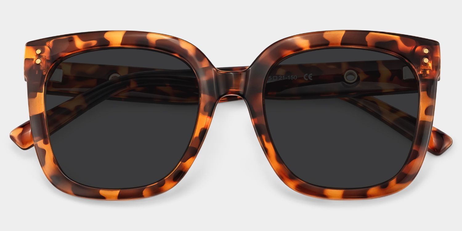 Ebony Tortoise Square Polarized Sunglasses for Driving | ZEELOOL CA1
