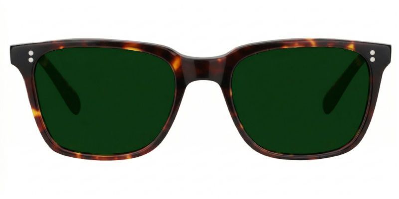 Lamont Tortoise Rectangle Sunglasses to Frame Your Face | ZEELOOL CA0