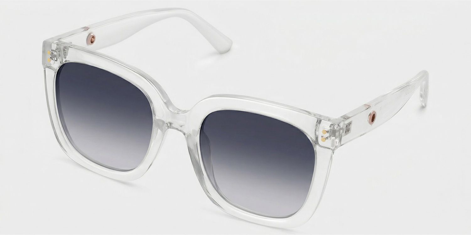 Ebony Plastic Clear Frame Sunglasses | ZEELOOL CA2