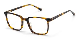 Aidan Tortoise Rectangle Glasses2